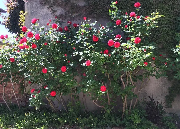 Maison Individuelle Dans Ancienne Ecurie Feriehus *